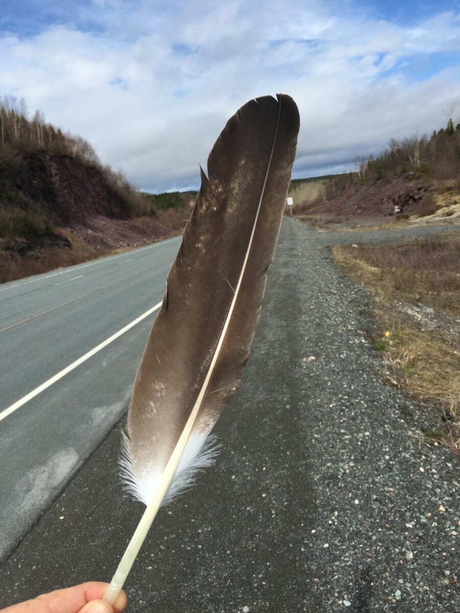 Eagle Feather Joe Found